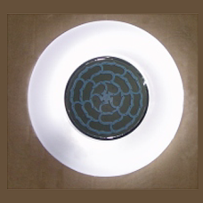 Round ceiling light with top shower